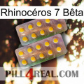 Rhinocéros 7 Bêta new10